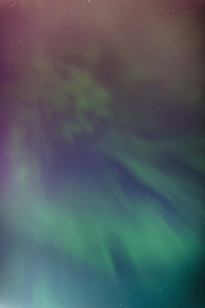 A green aurora borealis corona in the sky above the tony knowles coastal trail in winterAnchorage alaska united states of america Canvas Art - Kevin Smith Design Pics (12 x 19)