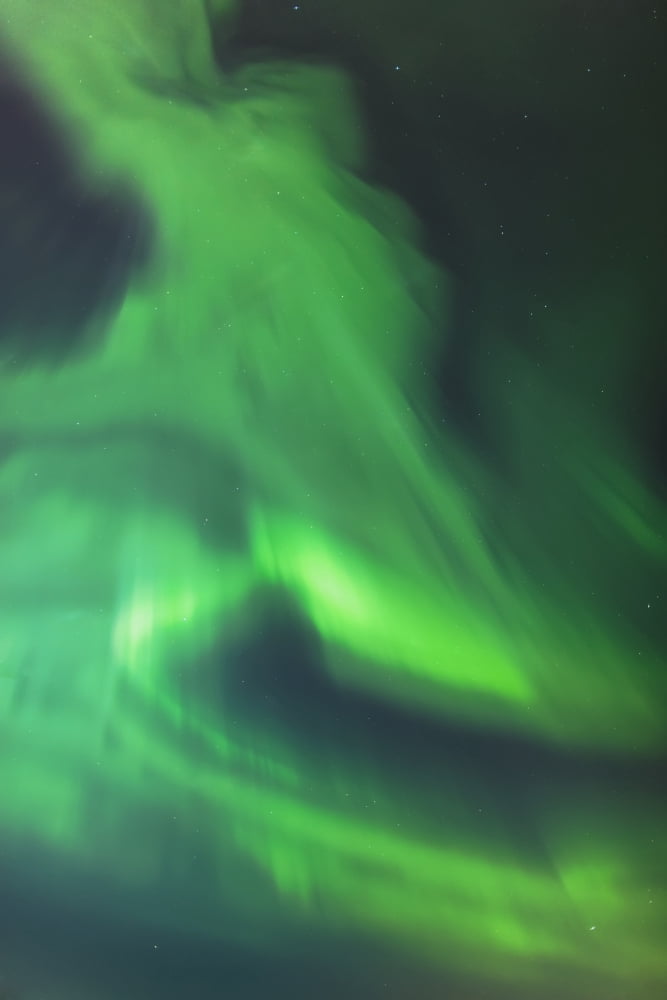 The green northern lights corona in the sky above the tony knowles coastal trail in winter at nighttimeAnchorage alaska united states of america Canvas Art - Kevin Smith Design Pics (12 x 19)