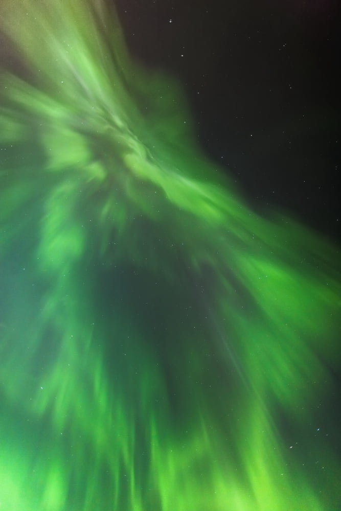 A green northern lights corona in the sky above the tony knowles coastal trail in winterAnchorage alaska united states of america Canvas Art - Kevin Smith Design Pics (12 x 19)