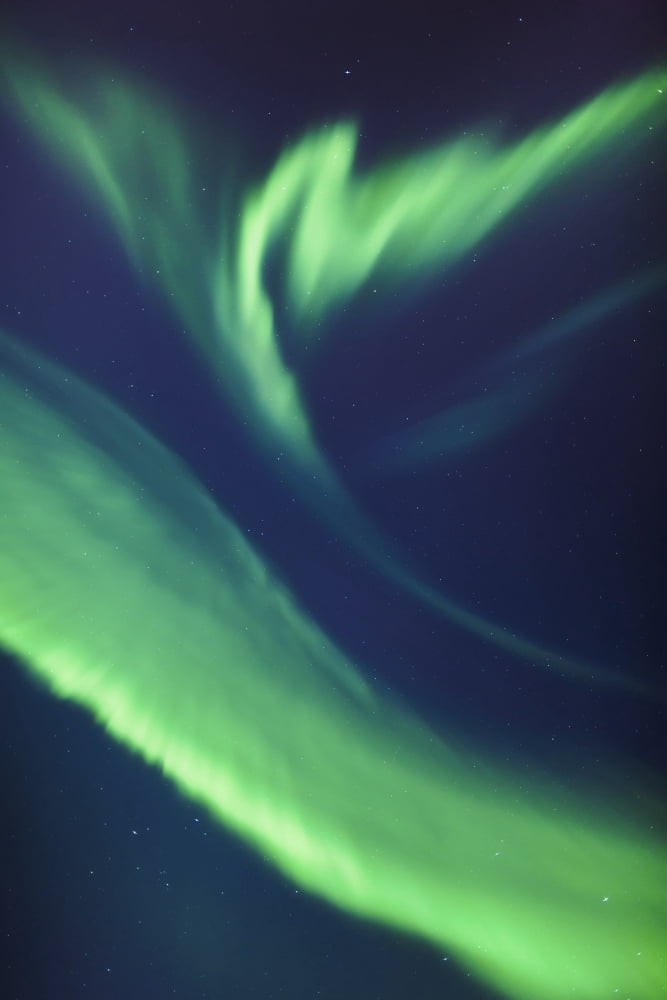 A green northern lights corona in the sky above the tony knowles coastal trail in winterAnchorage alaska united states of america Canvas Art - Kevin Smith Design Pics (12 x 19)