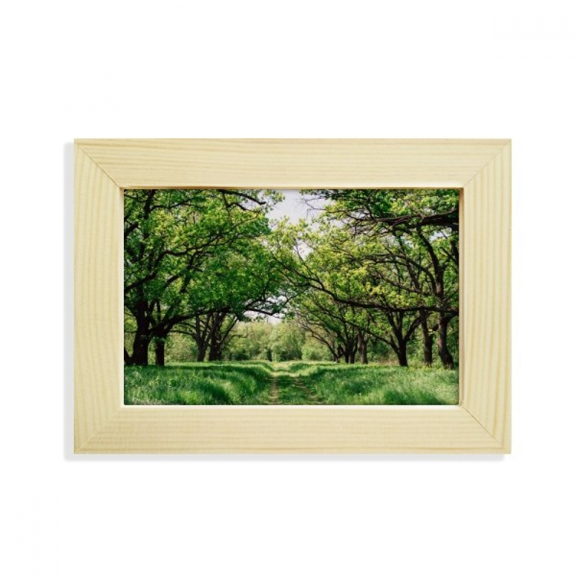 green ry nature science scenery desktop decorate photo frame picture art painting 5x7 inch
