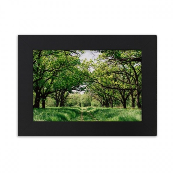 green ry nature science scenery desktop photo frame ornaments picture art painting