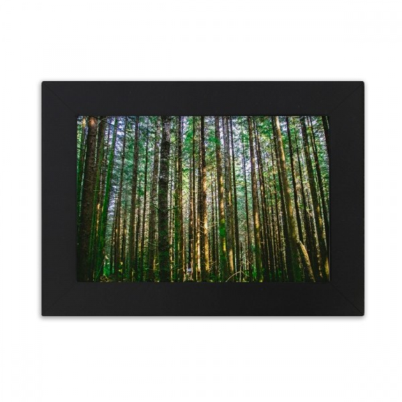 green ry science nature scenery desktop photo frame ornaments picture art painting