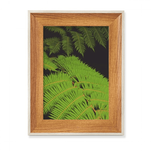 green t picture nature desktop wooden photo frame display picture art painting multiple sets