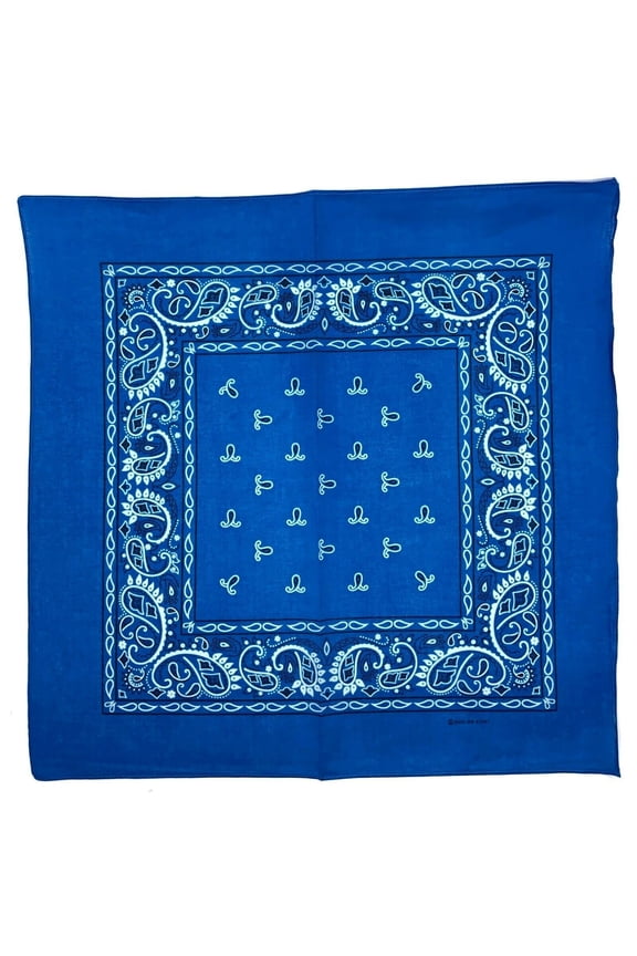 Cotton PAISLEY PRINT Face Scarf Colorful Paisley BANDANA HANDKERCHIEF HEAD WRAP WRISTBAND 22” - Blue
