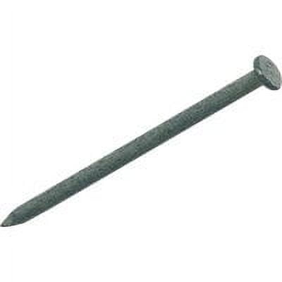 grip-rite hot galvanized common nail