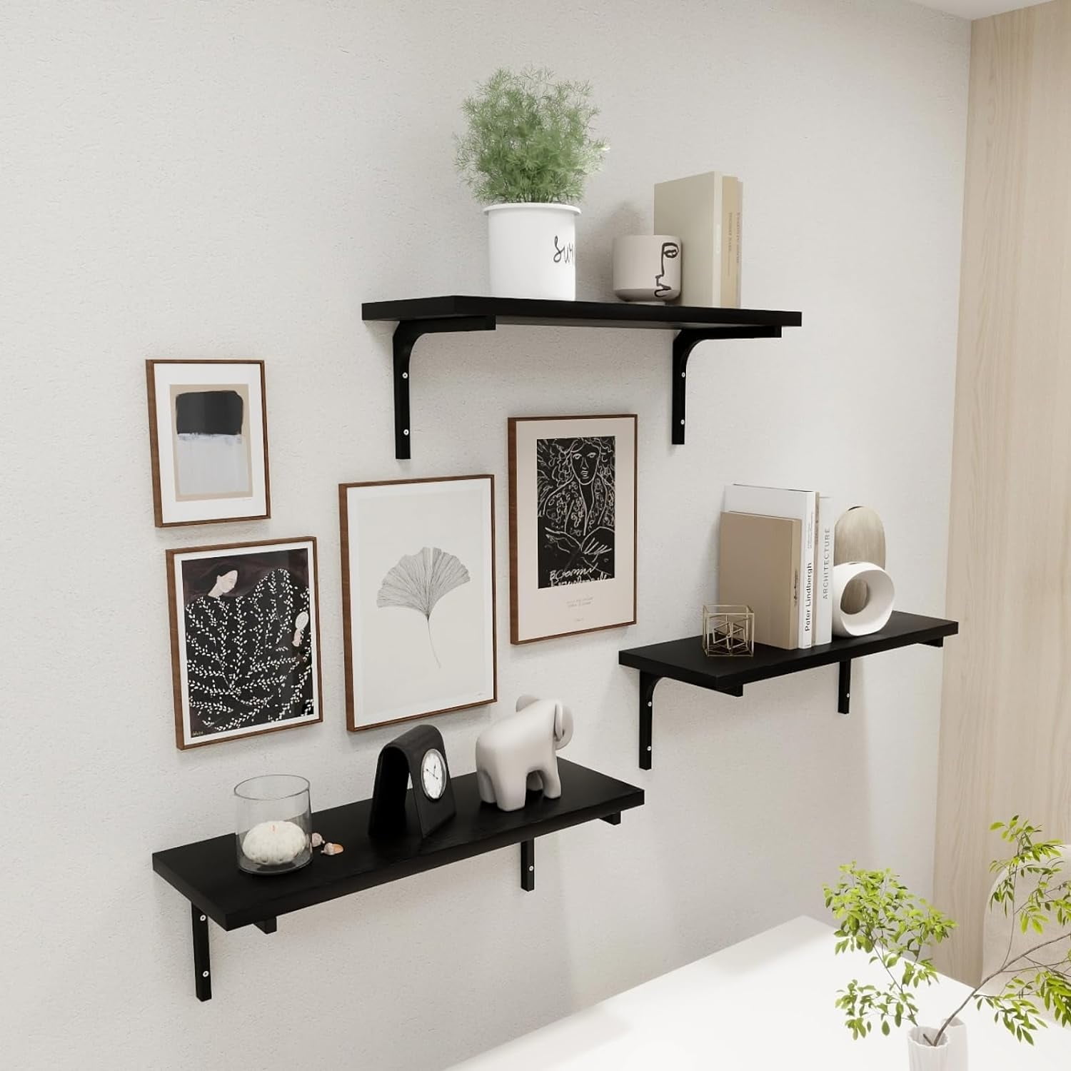 growfessor Black Oak Floating Shelves 0.7" Thick Wall Mount, Sturdy