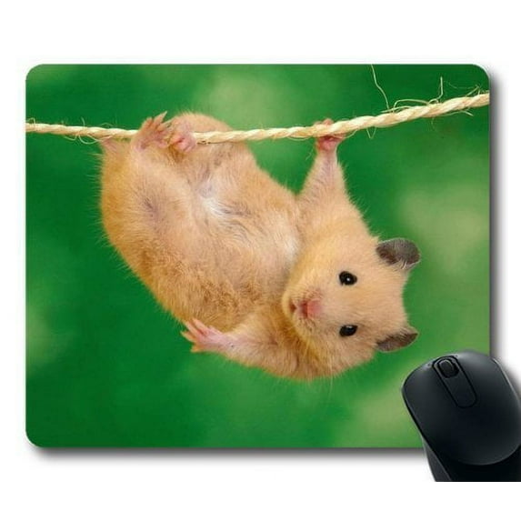 guinea pig hamster pets Mouse pads Gaming Mouse Pad 9.84x7.87 inches