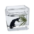 thumbnail image 1 of guohui 5xDoll House DIY Mini Model DIY Scene Accessories for Cabinet Decoration black, 1 of 9