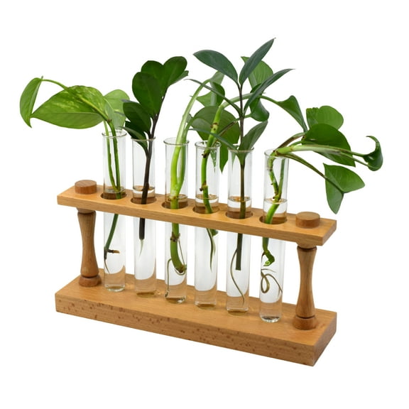 hBARSCI Premium Plant Propagation Station - Decorative Hardwood Stand with 6 Glass Tubes for Plant Cuttings, Hydroponic Plants, Flower Vase Home Decor