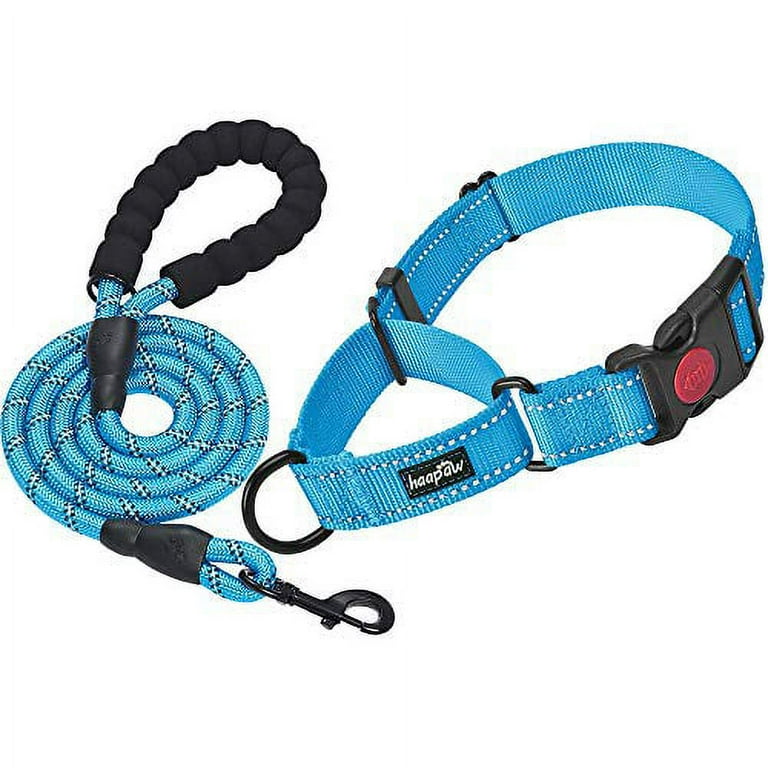 haapaw Packs Martingale Dog Collar with Quick Release Buckle
