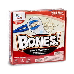 hand2mind STEM at Play BONES! Educational Toys Science Models & Kits 0.55 lb