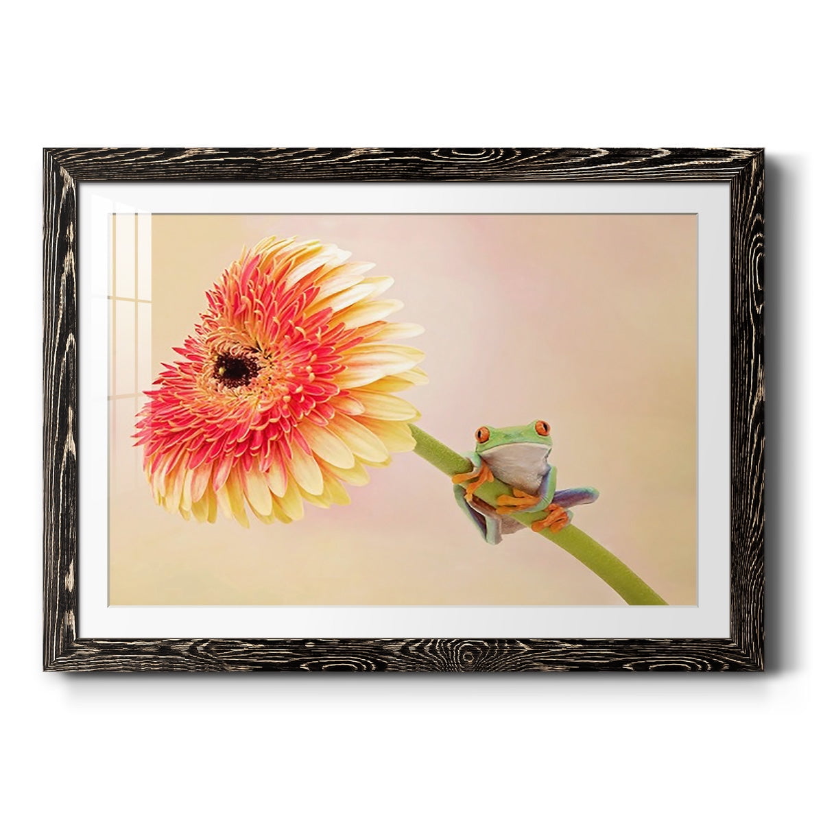 Hanging On IX-Premium Framed Print - Ready to Hang
