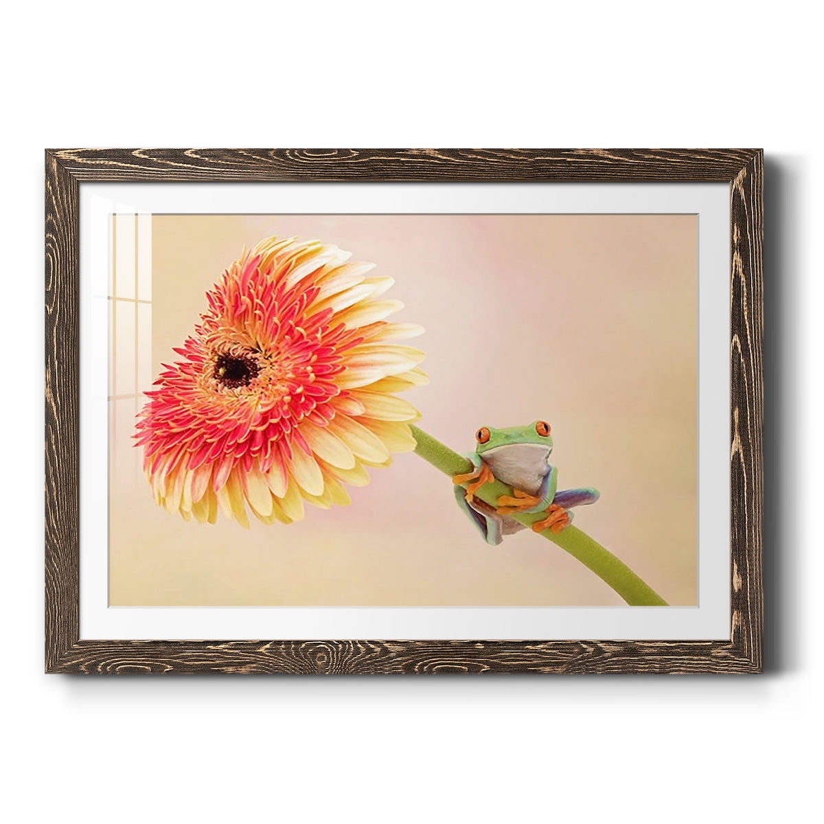 Hanging On IX-Premium Framed Print - Ready to Hang