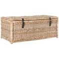 thumbnail image 1 of happimess Caden 46" Wicker Storage Trunk, Natural, HPM9000C, 1 of 10