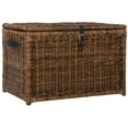 thumbnail image 1 of happimess Michael 35.5" Wicker Storage Trunk, Brown, HPM9004A, 1 of 11