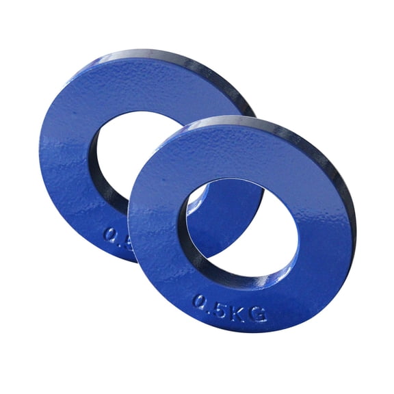 harayaa 2 PCS Colorful Steel Fractional Plates, Micro Fraction Weight Plate Low Weights Blue 0.5kg