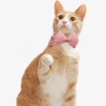 thumbnail image 1 of harmtty Stylish Cat Collar Beautiful Lace Bow-knot   for Taking Photo   Adjustable, 1 of 7