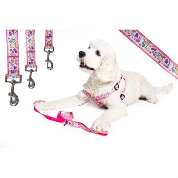 heads up for tails huftclh240 tweet tweet leash, small