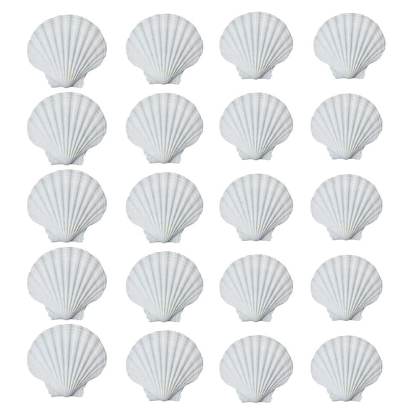 hejhncii 20Pcs Large White Scalloped Shells for Crafts Ocean Themed Party Decorations