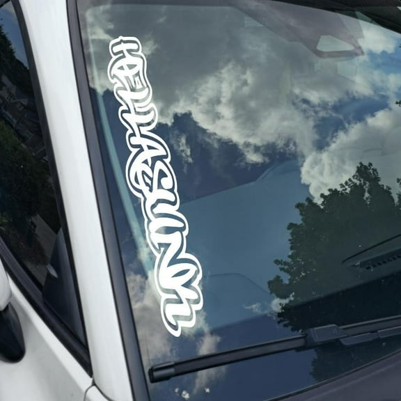 hellasunk Vinyl Decal Sticker Bumper Window UV & Water Resistance Banner 21" perfect fit for windshield Low life