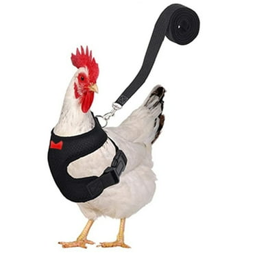 hengsof Chicken Harness with Leash, Upgraded Double Adjustment Chicken Harness and Leash Set for Hens, Duck, Goose, Small Pet