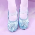 thumbnail image 1 of hengsof Childrens Butterfly Embroidered Ballet Shoes, Soft Sole Leather Look Slip On Practice Slippers, No Tie Design for Dance Class and Recitals, 1 of 3