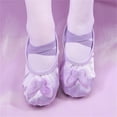 thumbnail image 1 of hengsof Childrens Butterfly Embroidered Ballet Shoes, Soft Sole Leather Look Slip On Practice Slippers, No Tie Design for Dance Class and Recitals, 1 of 3