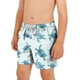 thumbnail image 1 of hengsof Fashionable Printed Swim Trunks for Boys, Summer Drawstring Elastic Waist Beach Casual Shorts with Pockets, 1 of 5
