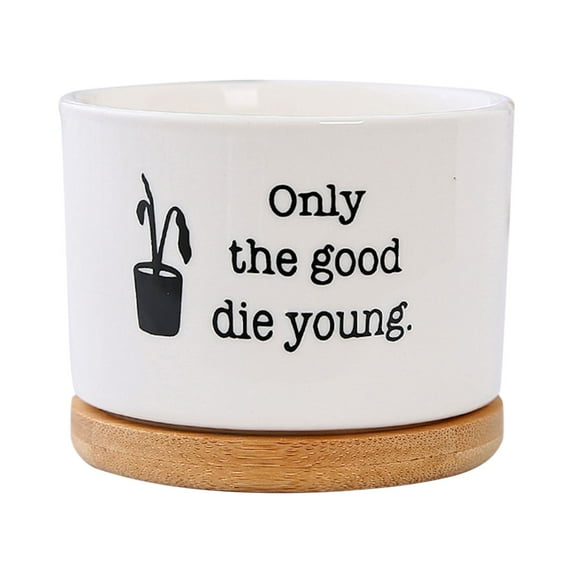 hengsof Funny Succulent Pots Cute Aloe Cactus Planter Ceramic Accessories Pots Indoor Outdoor Plants Birthday Housewarming Gifts