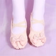 thumbnail image 1 of hengsof Girls Checkered Pattern Ballet Slippers with Bow, Soft Sole Leather Look Slip On Practice Shoes, Classic Style Dance Footwear for Kids, 1 of 3