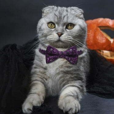 hengsof Pet Collar Halloween Detachable Bow Collar Holiday Dog Halloween Dog Collar
