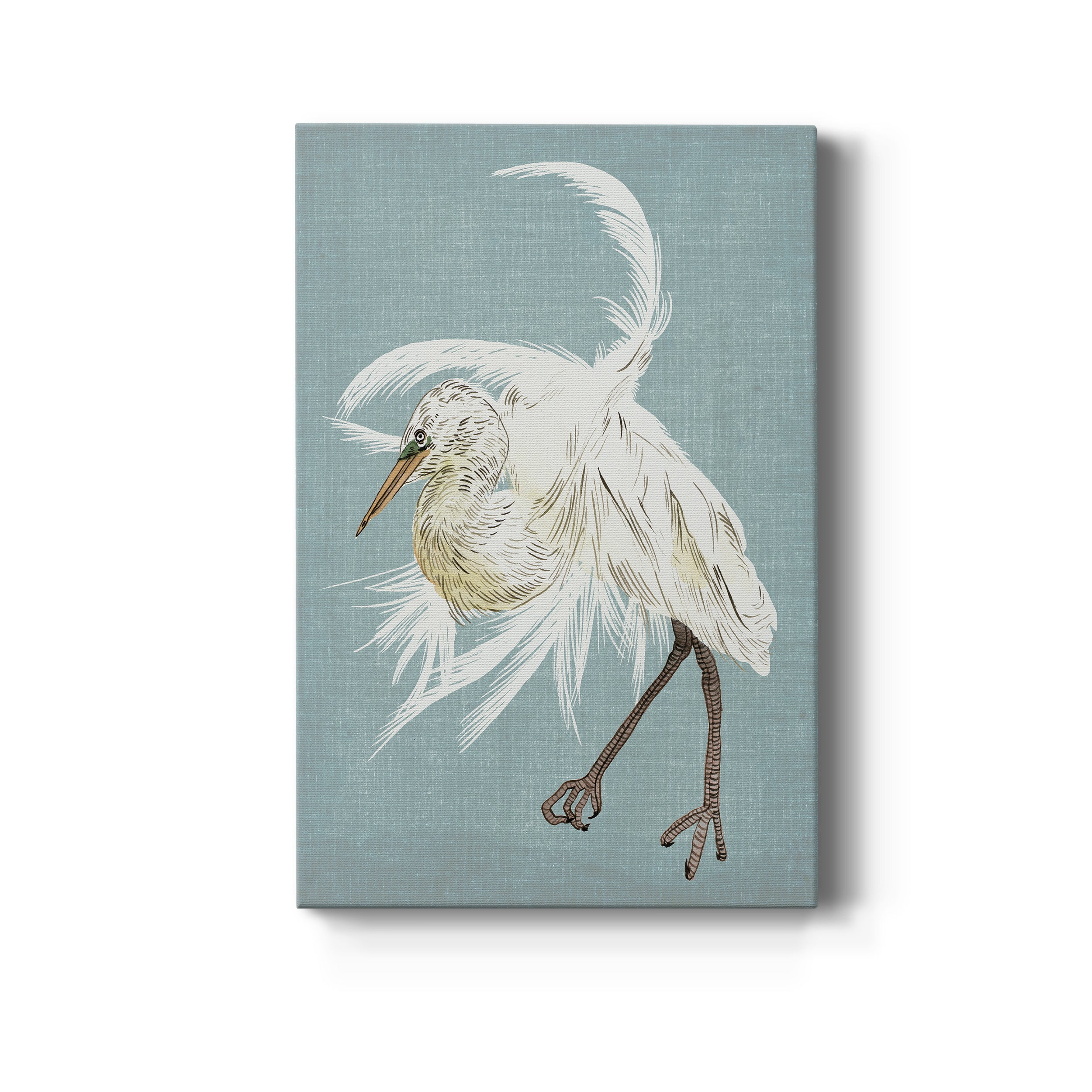 Heron Plumage IV Premium Gallery Wrapped Canvas - Ready to Hang