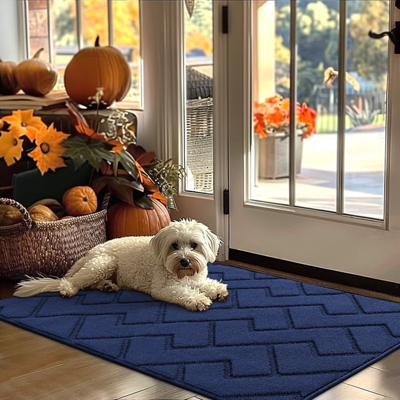 hicorfe Indoor Door Mat,32"x48"Absorbent Dirt Resist Front Back Door Rug,Machine Washable Rubber Backing Non-Slip Rug for Indoor,Entrance,Patio,Porch(Navy Blue)