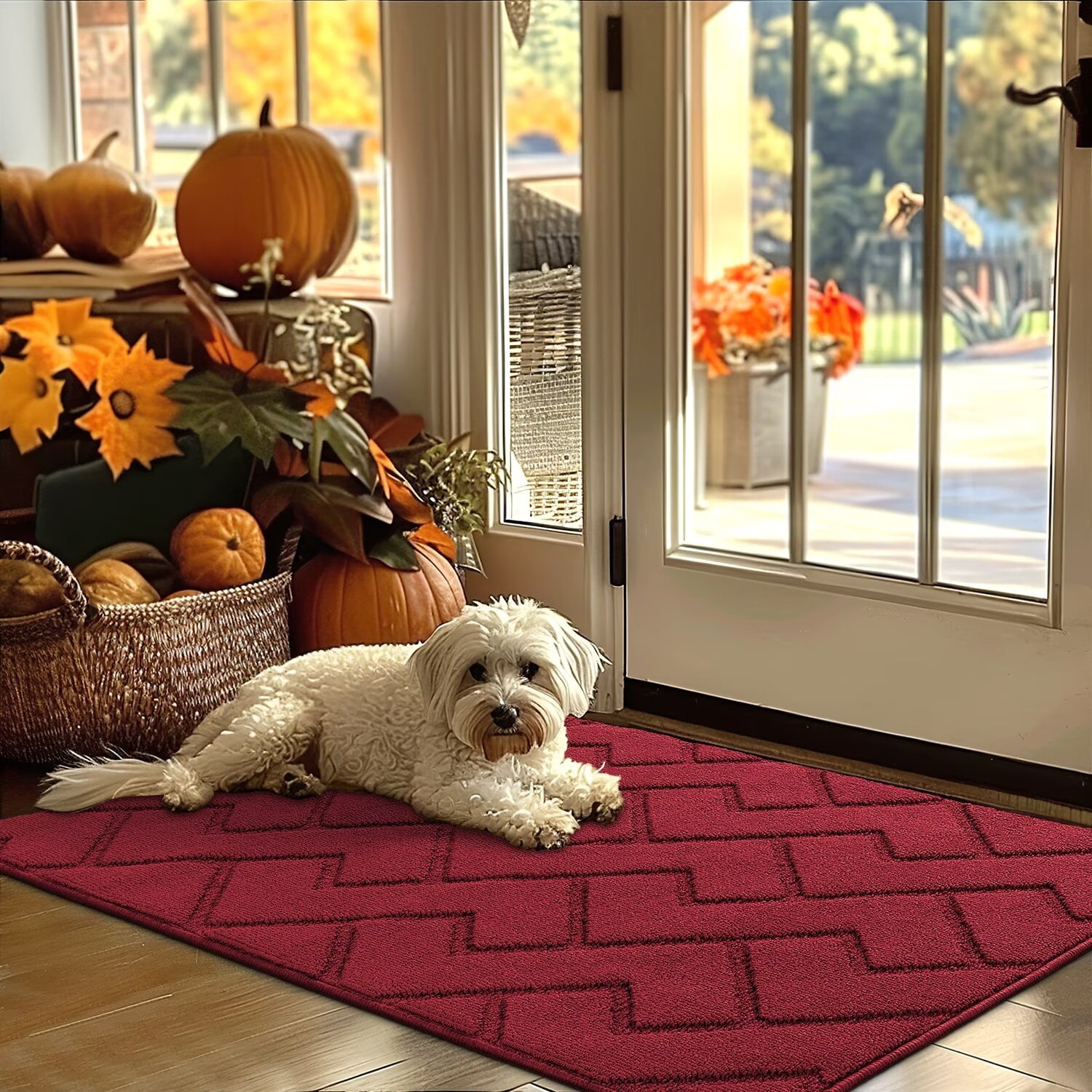 hicorfe Indoor Door Mat,32