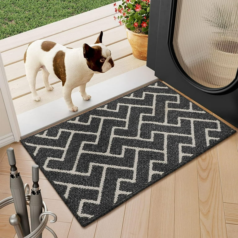 hicorfe Indoor Doormat,Front Back Door Mat Rubber Backing 20”x31.5”, Black