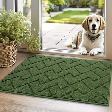 hicorfe Indoor Doormat,Non-Slip Front Back Door Mat for Entryway,Inside Floor Mat,20"x31.5" Green