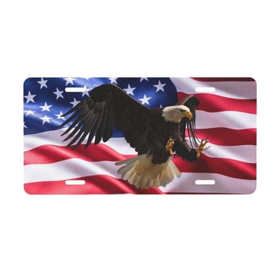 hiking license plates, decorative front car plates, metal car plates, changing table tags, novelty aluminum plates 6x12 inch
