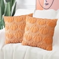 thumbnail image 1 of hociret 2-piece set Plush 3D Pumpkin Throw Pillows Covers - Fall/Halloween/Thanksgiving Decor, Cozy Textured Cushions for Couch/Bed, Multiple Autumn Colors, 1 of 5