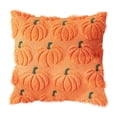 thumbnail image 1 of hociret Plush 3D Pumpkin Throw Pillows Covers - Fall/Halloween/Thanksgiving Decor, Cozy Textured Cushions for Couch/Bed, Multiple Autumn Colors, 1 of 4