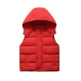 thumbnail image 1 of hoksml Kids Detachable Hood Quilted Vest 3-12 Years Boys Girls Zip Front Sleeveless Puffer Jacket Warm Casual Sleeveless Coat, 1 of 4