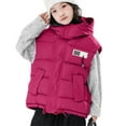 thumbnail image 1 of hoksml Kids Hooded Puffer Vest with Zipper Drawstring Hem Boys Girls Sleeveless Jacket (3-12 Years) Quilted Vest with Pockets, 1 of 5