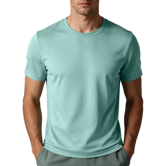 hoksml Men's Crew Neck Short Sleeve T Shirt Full Mesh Quick Dry Breathable Regular Fit Solid Athletic Top for Gym Running Daily Casual Wear