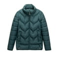 thumbnail image 1 of hoksml Women's Winter Plus Size Down Coat Stand Collar Solid Color Long Sleeve Lightweight Thin Slim Light Pocket Zipper Down Jacket Top 2XL-5XL, 1 of 3