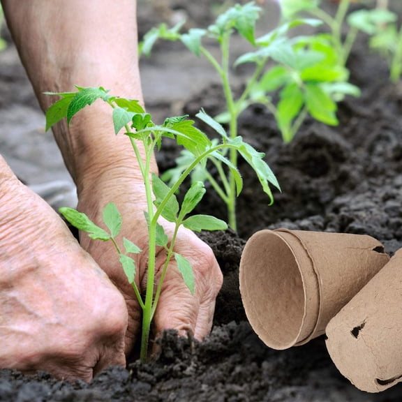 homenote Peat Pots, 60 Pcs 3.15 Inch Seed Starting Pots with Drainage Holes.