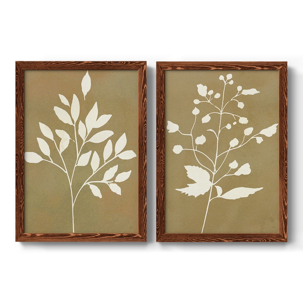 Honey Botanical I - Premium Framed Canvas 2 Piece Set - Ready to Hang