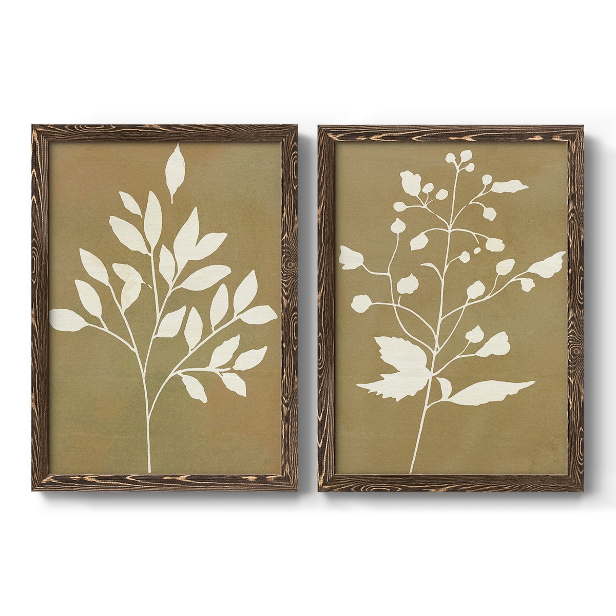 Honey Botanical I - Premium Framed Canvas 2 Piece Set - Ready to Hang