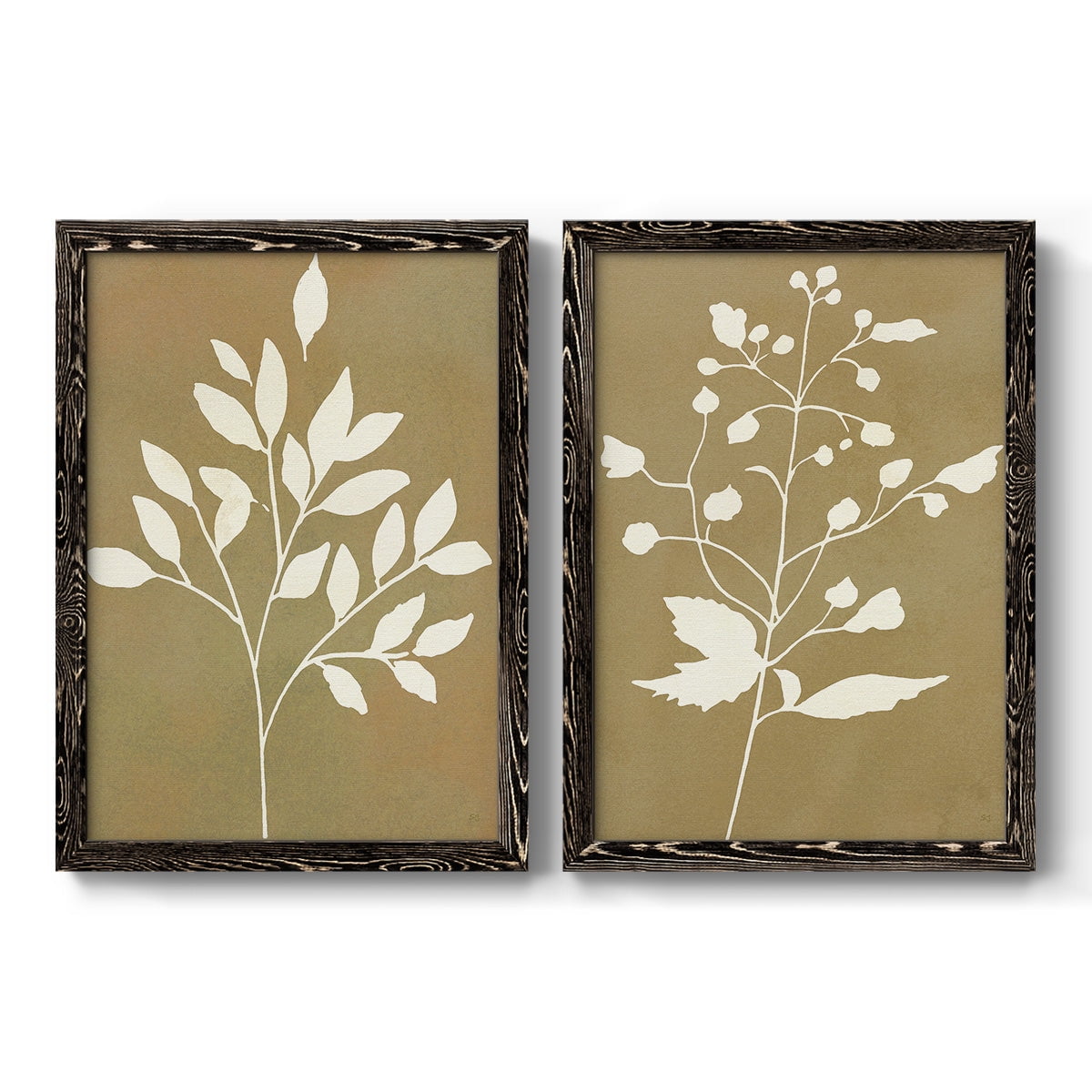 Honey Botanical I - Premium Framed Canvas 2 Piece Set - Ready to Hang