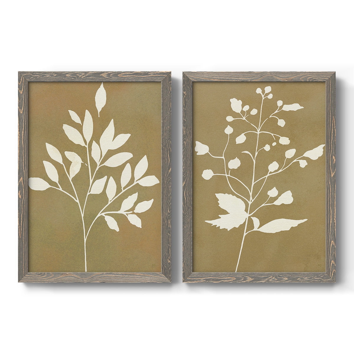 Honey Botanical I - Premium Framed Canvas 2 Piece Set - Ready to Hang