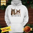 thumbnail image 1 of hoodie Unique pattern brings a cheerful and warm atmosphere, Cats Friends Bub Grumpy HOODIE, 1 of 4